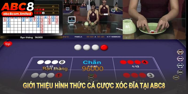 Giới thiệu hình thức cá cược xóc đĩa tại ABC8