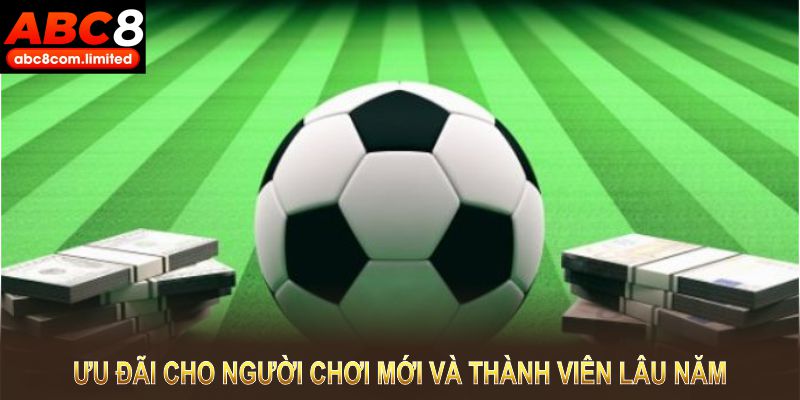 Khuyến mãi thể thao tại ABC8 ưu đãi cho người chơi mới và thành viên lâu năm